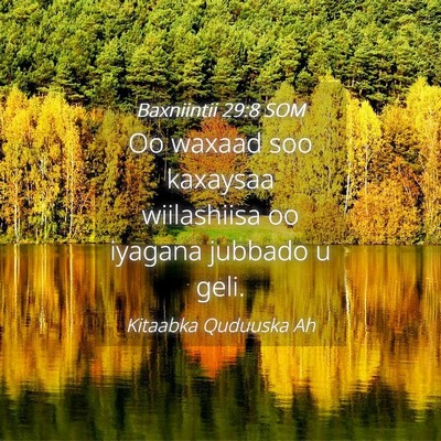 Picture 04 - Baxniintii 29:8 SOM - Oo waxaad soo kaxaysaa wiilashiisa oo iyagana - Bible Verse Picture