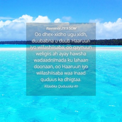 Picture 04 - Baxniintii 29:9 SOM - Oo dhex-xidho ugu xidh, duubabna u duub Haaruun - Bible Verse Picture