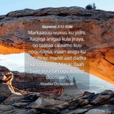 Picture 04 - Baxniintii 3:12 SOM - Markaasuu wuxuu ku yidhi, Xaqiiqa anigaa kula - Bible Verse Picture