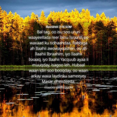 Picture 04 - Baxniintii 3:16 SOM - Bal tag, oo isu soo ururi waayeellada reer binu - Bible Verse Picture