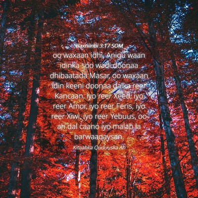 Picture 04 - Baxniintii 3:17 SOM - oo waxaan idhi, Anigu waan idinka soo wadi doonaa - Bible Verse Picture