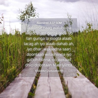 Picture 04 - Baxniintii 3:22 SOM - laakiinse naag waluba ha weyddiisato deriskeeda - Bible Verse Picture