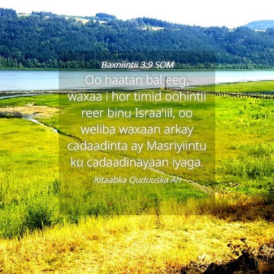 Picture 04 - Baxniintii 3:9 SOM - Oo haatan bal eeg, waxaa i hor timid oohintii - Bible Verse Picture