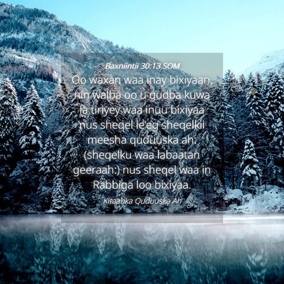 Picture 04 - Baxniintii 30:13 SOM - Oo waxan waa inay bixiyaan, nin walba oo u gudba - Bible Verse Picture