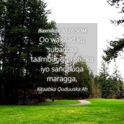 Picture 04 - Baxniintii 30:26 SOM - Oo waxaad ku subagtaa taambuugga shirka iyo - Bible Verse Picture