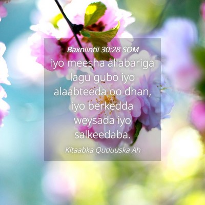 Picture 04 - Baxniintii 30:28 SOM - iyo meesha allabariga lagu gubo iyo alaabteeda oo - Bible Verse Picture