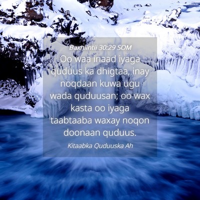 Picture 04 - Baxniintii 30:29 SOM - Oo waa inaad iyaga quduus ka dhigtaa, inay - Bible Verse Picture
