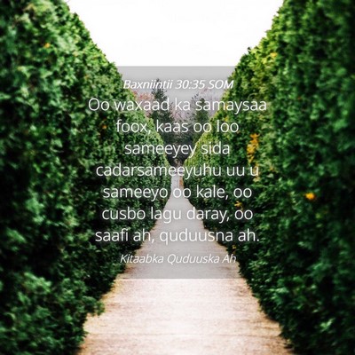 Picture 04 - Baxniintii 30:35 SOM - Oo waxaad ka samaysaa foox, kaas oo loo sameeyey - Bible Verse Picture