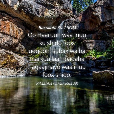 Picture 04 - Baxniintii 30:7 SOM - Oo Haaruun waa inuu ku shido foox udgoon; subax - Bible Verse Picture