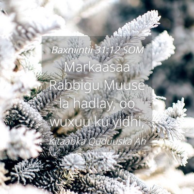 Picture 04 - Baxniintii 31:12 SOM - Markaasaa Rabbigu Muuse la hadlay, oo wuxuu ku - Bible Verse Picture