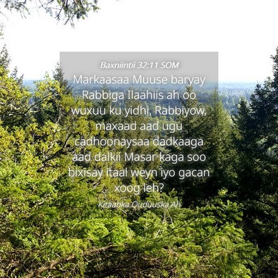 Picture 04 - Baxniintii 32:11 SOM - Markaasaa Muuse baryay Rabbiga Ilaahiis ah oo - Bible Verse Picture