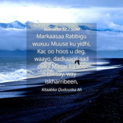 Picture 04 - Baxniintii 32:7 SOM - Markaasaa Rabbigu wuxuu Muuse ku yidhi, Kac oo - Bible Verse Picture