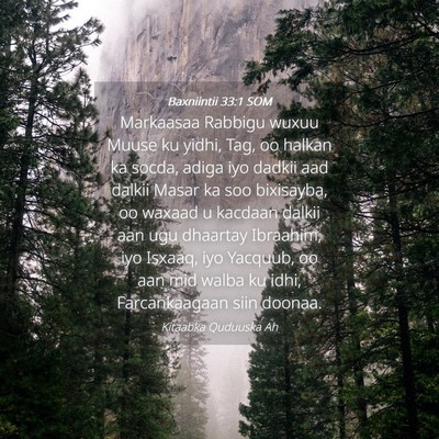 Picture 04 - Baxniintii 33:1 SOM - Markaasaa Rabbigu wuxuu Muuse ku yidhi, Tag, oo - Bible Verse Picture