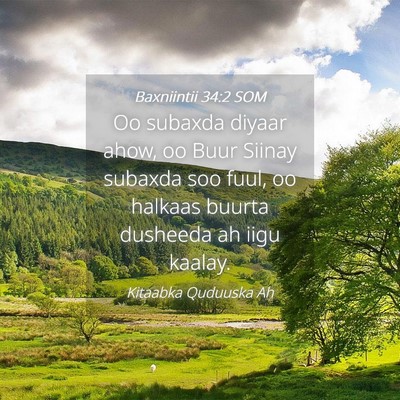 Picture 04 - Baxniintii 34:2 SOM - Oo subaxda diyaar ahow, oo Buur Siinay subaxda - Bible Verse Picture