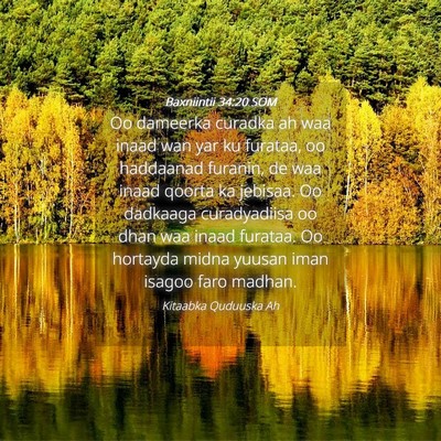 Picture 04 - Baxniintii 34:20 SOM - Oo dameerka curadka ah waa inaad wan yar ku - Bible Verse Picture