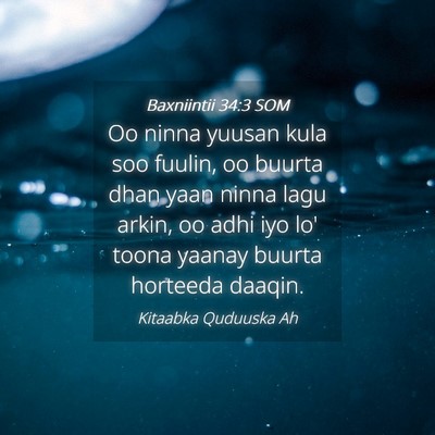 Picture 04 - Baxniintii 34:3 SOM - Oo ninna yuusan kula soo fuulin, oo buurta dhan - Bible Verse Picture