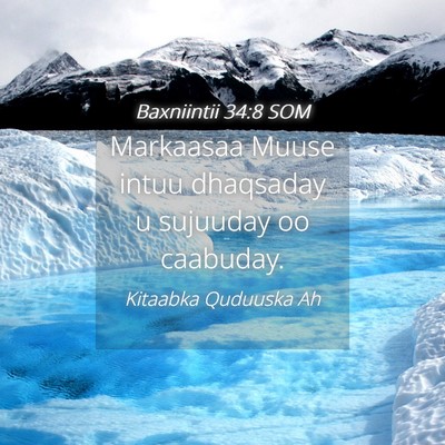Picture 04 - Baxniintii 34:8 SOM - Markaasaa Muuse intuu dhaqsaday u sujuuday oo - Bible Verse Picture