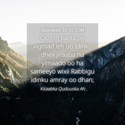 Picture 04 - Baxniintii 35:10 SOM - Oo nin kasta oo xigmad leh oo idinku dhex jiraaba - Bible Verse Picture