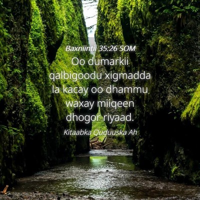 Picture 04 - Baxniintii 35:26 SOM - Oo dumarkii qalbigoodu xigmadda la kacay oo - Bible Verse Picture
