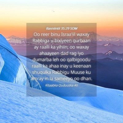 Picture 04 - Baxniintii 35:29 SOM - Oo reer binu Israa'iil waxay Rabbiga u bixiyeen - Bible Verse Picture