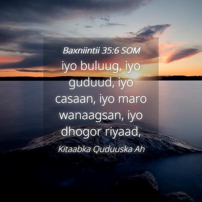Picture 04 - Baxniintii 35:6 SOM - iyo buluug, iyo guduud, iyo casaan, iyo maro - Bible Verse Picture