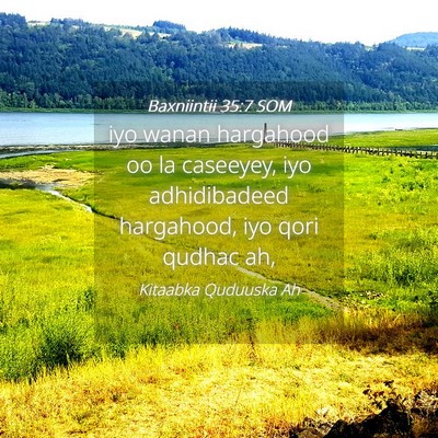 Picture 04 - Baxniintii 35:7 SOM - iyo wanan hargahood oo la caseeyey, iyo - Bible Verse Picture