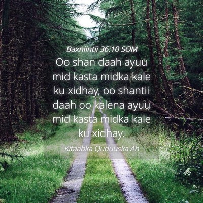 Picture 04 - Baxniintii 36:10 SOM - Oo shan daah ayuu mid kasta midka kale ku xidhay, - Bible Verse Picture