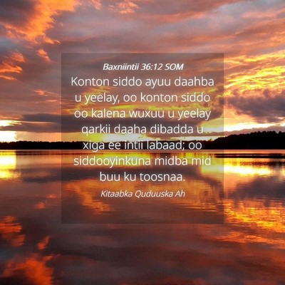 Picture 04 - Baxniintii 36:12 SOM - Konton siddo ayuu daahba u yeelay, oo konton - Bible Verse Picture