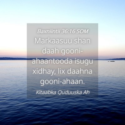 Picture 04 - Baxniintii 36:16 SOM - Markaasuu shan daah gooni-ahaantooda isugu - Bible Verse Picture