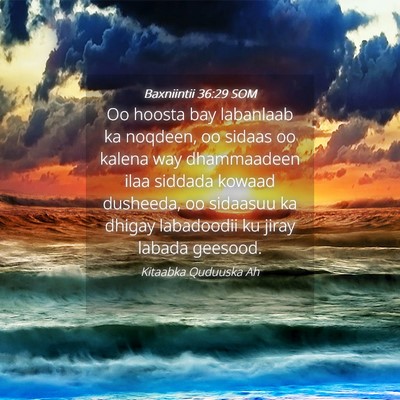 Picture 04 - Baxniintii 36:29 SOM - Oo hoosta bay labanlaab ka noqdeen, oo sidaas oo - Bible Verse Picture