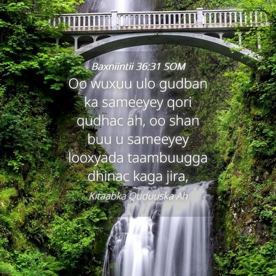 Picture 04 - Baxniintii 36:31 SOM - Oo wuxuu ulo gudban ka sameeyey qori qudhac ah, - Bible Verse Picture