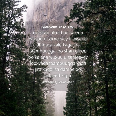 Picture 04 - Baxniintii 36:32 SOM - oo shan ulood oo kalena wuxuu u sameeyey looxyada - Bible Verse Picture