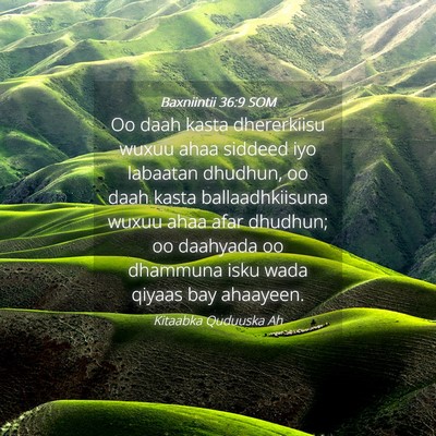 Picture 04 - Baxniintii 36:9 SOM - Oo daah kasta dhererkiisu wuxuu ahaa siddeed iyo - Bible Verse Picture