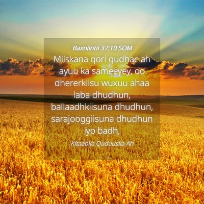Picture 04 - Baxniintii 37:10 SOM - Miiskana qori qudhac ah ayuu ka sameeyey, oo - Bible Verse Picture