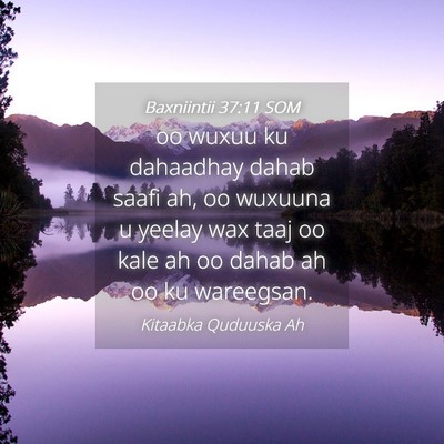 Picture 04 - Baxniintii 37:11 SOM - oo wuxuu ku dahaadhay dahab saafi ah, oo wuxuuna - Bible Verse Picture