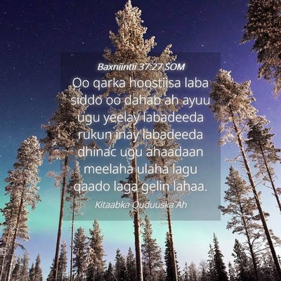 Picture 04 - Baxniintii 37:27 SOM - Oo qarka hoostiisa laba siddo oo dahab ah ayuu - Bible Verse Picture