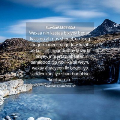 Picture 04 - Baxniintii 38:26 SOM - Waxaa nin kastaa bixiyey beqac, kaas oo ah nus - Bible Verse Picture