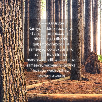 Picture 04 - Baxniintii 38:28 SOM - Kun iyo toddoba boqol iyo shan iyo toddobaatanka - Bible Verse Picture