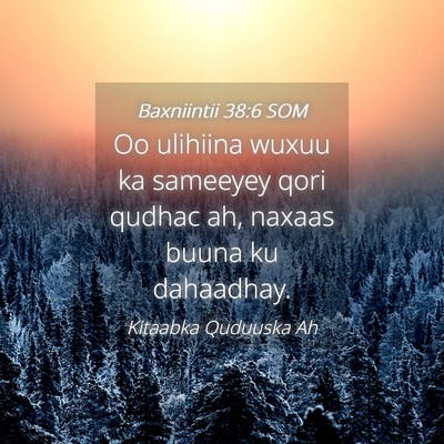 Picture 04 - Baxniintii 38:6 SOM - Oo ulihiina wuxuu ka sameeyey qori qudhac ah, - Bible Verse Picture