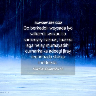 Picture 04 - Baxniintii 38:8 SOM - Oo berkeddii weysada iyo salkeedii wuxuu ka - Bible Verse Picture