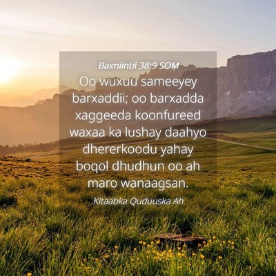 Picture 04 - Baxniintii 38:9 SOM - Oo wuxuu sameeyey barxaddii; oo barxadda xaggeeda - Bible Verse Picture