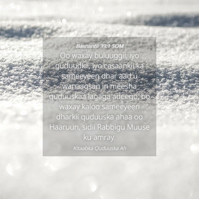 Picture 04 - Baxniintii 39:1 SOM - Oo waxay buluuggii, iyo guduudkii, iyo casaankii - Bible Verse Picture
