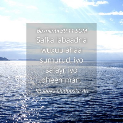 Picture 04 - Baxniintii 39:11 SOM - Safka labaadna wuxuu ahaa sumurud, iyo safayr, - Bible Verse Picture