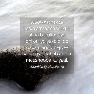 Picture 04 - Baxniintii 39:13 SOM - Safka afraadna wuxuu ahaa berullos, iyo onika, - Bible Verse Picture