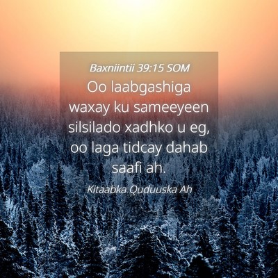 Picture 04 - Baxniintii 39:15 SOM - Oo laabgashiga waxay ku sameeyeen silsilado - Bible Verse Picture