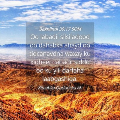 Picture 04 - Baxniintii 39:17 SOM - Oo labadii silsiladood oo dahabka ahayd oo - Bible Verse Picture