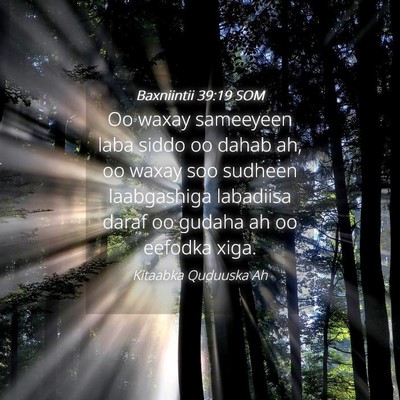 Picture 04 - Baxniintii 39:19 SOM - Oo waxay sameeyeen laba siddo oo dahab ah, oo - Bible Verse Picture