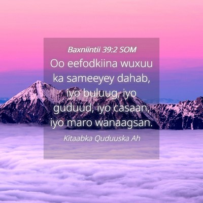 Picture 04 - Baxniintii 39:2 SOM - Oo eefodkiina wuxuu ka sameeyey dahab, iyo - Bible Verse Picture