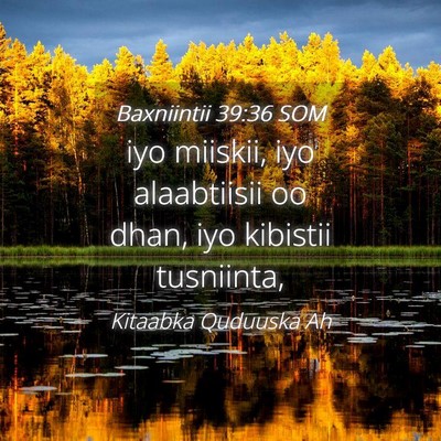 Picture 04 - Baxniintii 39:36 SOM - iyo miiskii, iyo alaabtiisii oo dhan, iyo - Bible Verse Picture