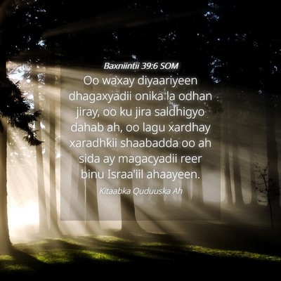 Picture 04 - Baxniintii 39:6 SOM - Oo waxay diyaariyeen dhagaxyadii onika la odhan - Bible Verse Picture